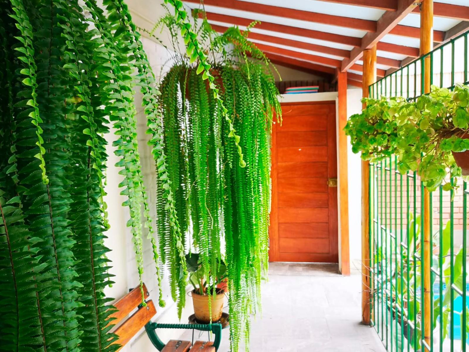 Casa Amarello Lägenhet Lima Exteriör bild